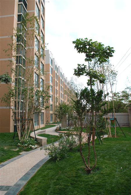 3044am永利集团嘉园二期局部景观雏形鉴赏（亲景实拍）